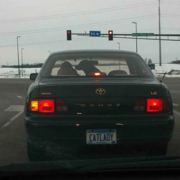 POKVARENI LAŽLJIVCI UHVAĆENI NA DJELU: Lažu čim zinu ili objave ne&scaron;to na dru&scaron;tvenim mrežama