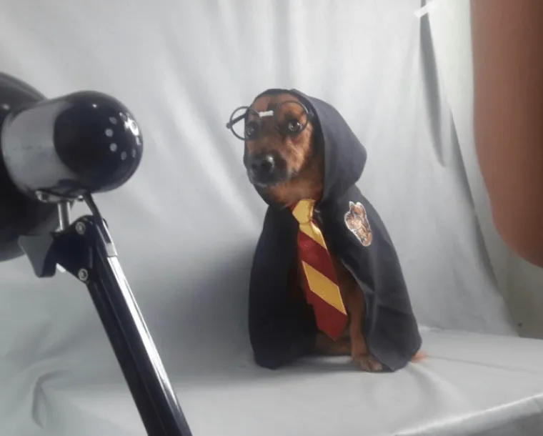 Ipak se isplati biti ljubazan: ove fotke su dokaz da ta ljudska vrlina jo&scaron; nije izumrla