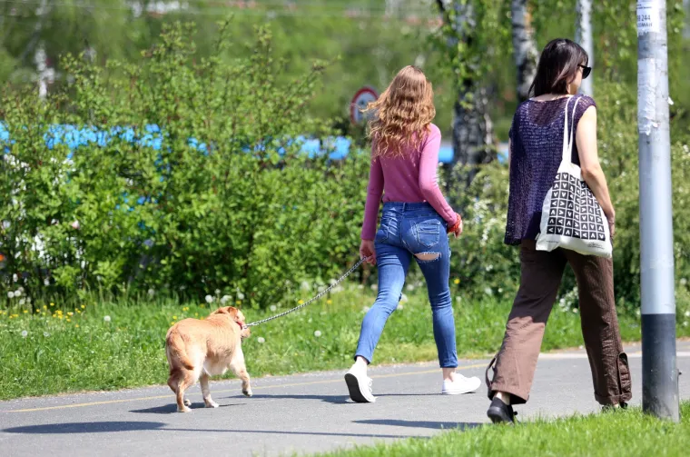 'Ventilacija stražnjice': s većim vrućinama u zagrebačku modu u&scaron;le i hlače s velikim rupama na guzi