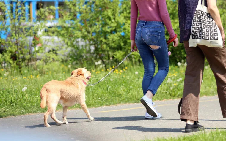 'Ventilacija stražnjice': s većim vrućinama u zagrebačku modu u&scaron;le i hlače s velikim rupama na guzi