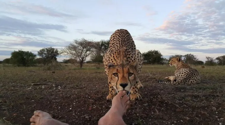 Lekcije koje bismo svi mogli naučiti od 'majstora života' koje nije briga za sitnice