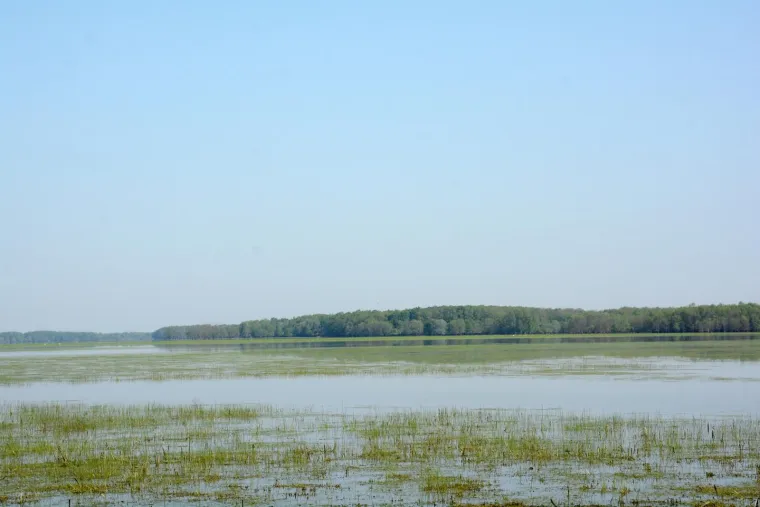 Pa&scaron;njaci u Lonjskom polju jo&scaron; uvijek pod vodom, ali barem svinje gu&scaron;taju