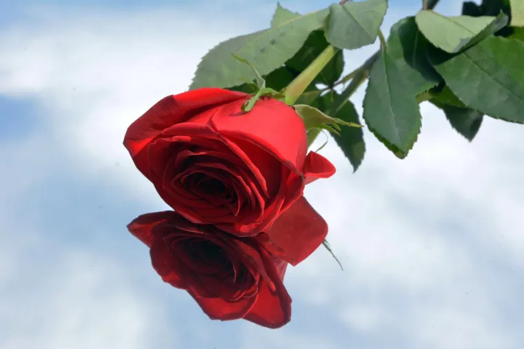 Obiljezavanje 23. obljetnice vojno-redarstvene operacije Bljesak i otkrivanje spomen-obilježja Kristalne kocke vedrine.Photo: Ivica Galovic/PIXSELL