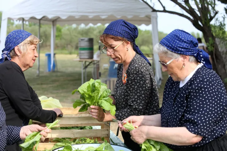 OD BUDNICA, NEOBIČNIH PIKNIKA I BICIKLIJADA DO STANDARDNOG GRAHA: Pogledajte kako su građani diljem zemlje proslavili Praznik rada