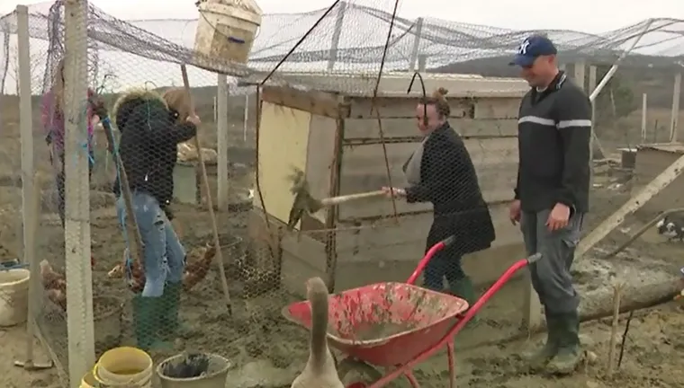 ROMANTIKA NA SELU: Denis priznao da gaji osjećaje prema Moniki, a Hrvoje i Lana čekali da se ojari koza