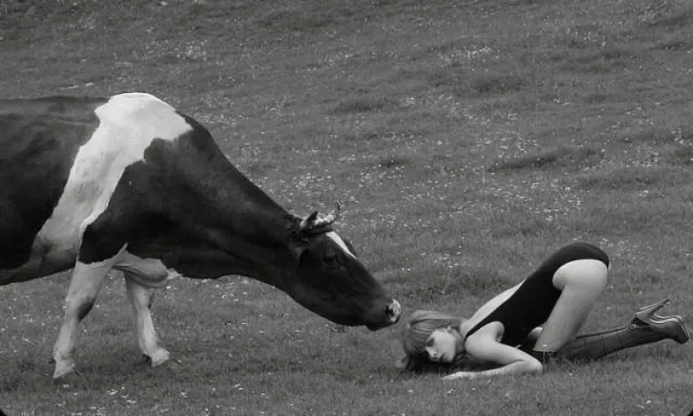 MAME SU IH UČILE DA SE CURICE NE PONA&Scaron;AJU TAKO: One uzele sudbinu u svoje ruke i dokazale suprotno