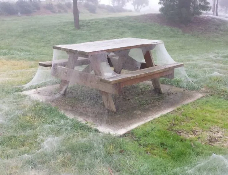 NA DRU&Scaron;TVENIM MREŽAMA OBJAVILI PRIZORE OD KOJIH SE LEDI KRV U ŽILAMA: Samo najhrabriji ne bježe glavom bez obzira