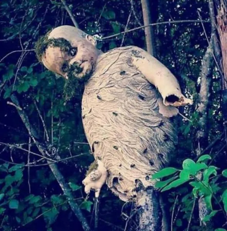 NA DRU&Scaron;TVENIM MREŽAMA OBJAVILI PRIZORE OD KOJIH SE LEDI KRV U ŽILAMA: Samo najhrabriji ne bježe glavom bez obzira