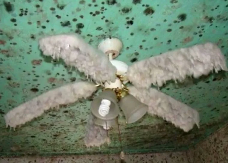 NA DRU&Scaron;TVENIM MREŽAMA OBJAVILI PRIZORE OD KOJIH SE LEDI KRV U ŽILAMA: Samo najhrabriji ne bježe glavom bez obzira