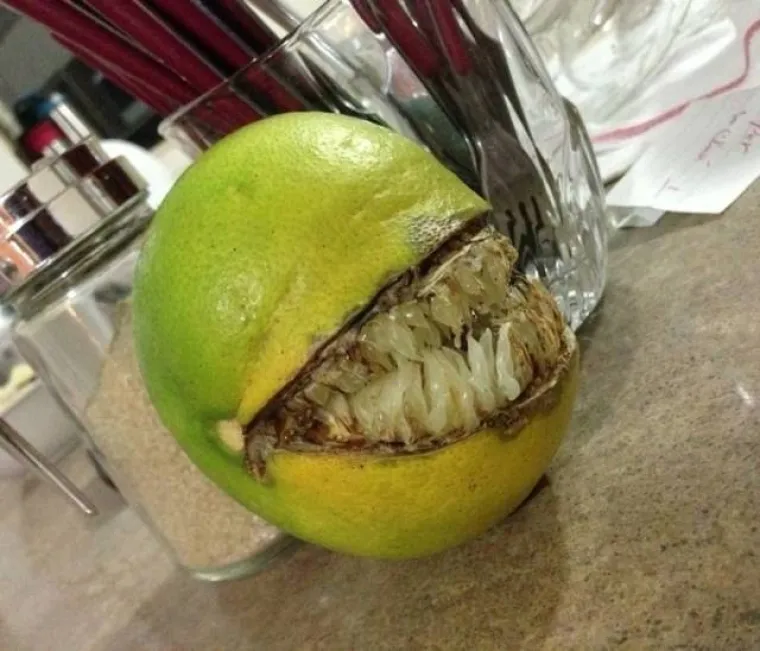 NA DRU&Scaron;TVENIM MREŽAMA OBJAVILI PRIZORE OD KOJIH SE LEDI KRV U ŽILAMA: Samo najhrabriji ne bježe glavom bez obzira