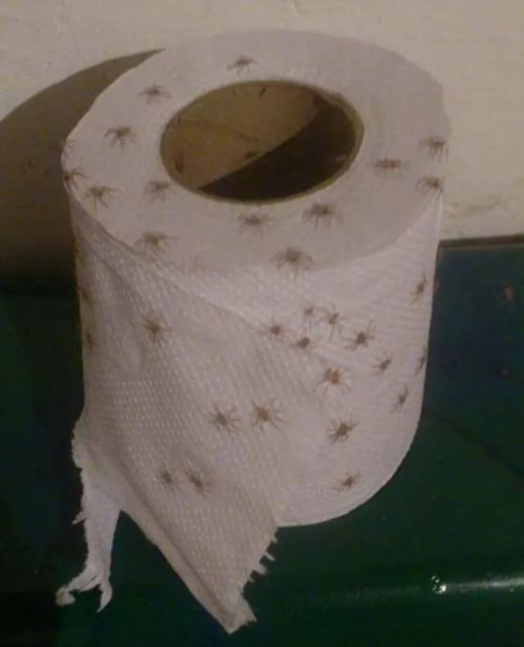 NA DRU&Scaron;TVENIM MREŽAMA OBJAVILI PRIZORE OD KOJIH SE LEDI KRV U ŽILAMA: Samo najhrabriji ne bježe glavom bez obzira