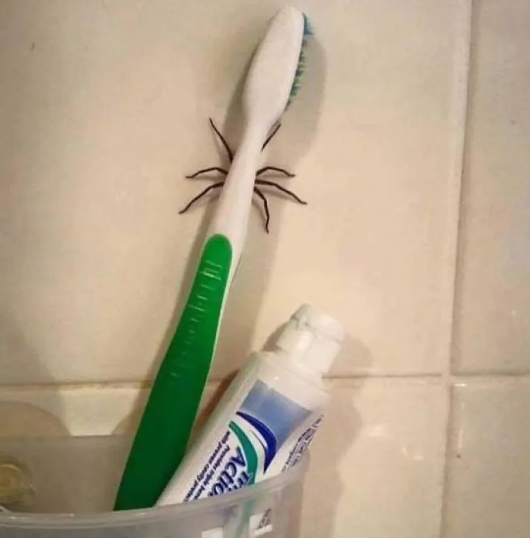 NA DRU&Scaron;TVENIM MREŽAMA OBJAVILI PRIZORE OD KOJIH SE LEDI KRV U ŽILAMA: Samo najhrabriji ne bježe glavom bez obzira