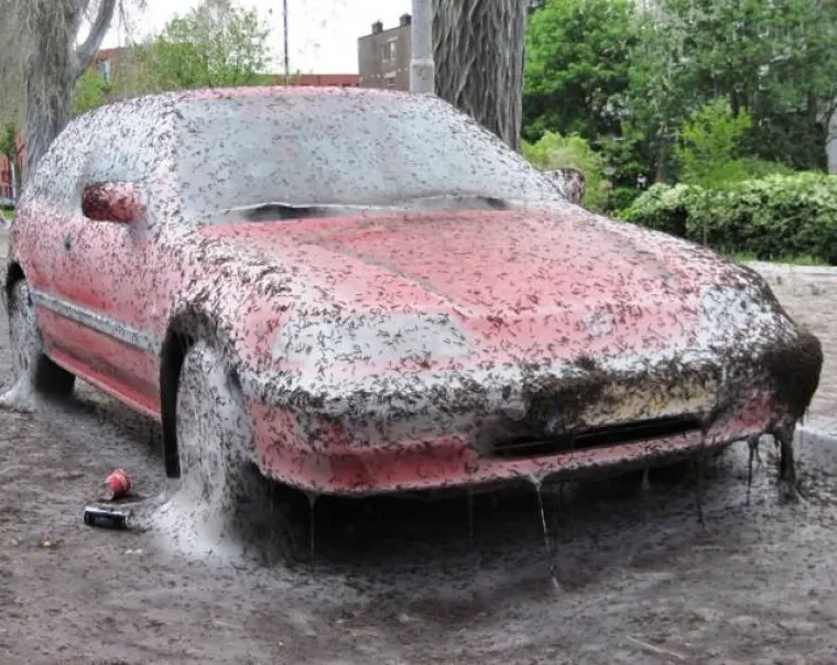 NA DRU&Scaron;TVENIM MREŽAMA OBJAVILI PRIZORE OD KOJIH SE LEDI KRV U ŽILAMA: Samo najhrabriji ne bježe glavom bez obzira