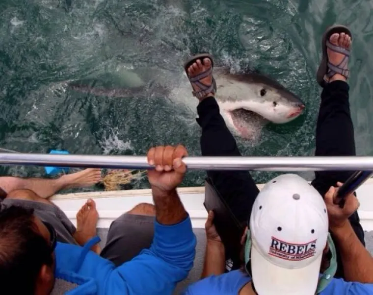 NA DRU&Scaron;TVENIM MREŽAMA OBJAVILI PRIZORE OD KOJIH SE LEDI KRV U ŽILAMA: Samo najhrabriji ne bježe glavom bez obzira