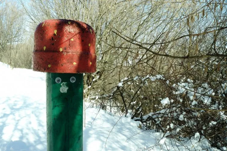 BUGARSKA JE PUNA RAZROKIH POGLEDA, A ZA SVE JE ZASLUŽAN JEDAN ČOVJEK: Pohvalio se na Instagramu i urnebesno je
