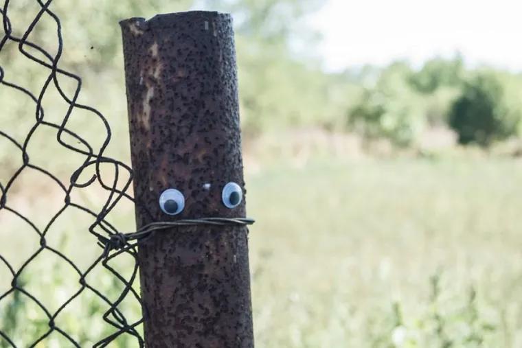 BUGARSKA JE PUNA RAZROKIH POGLEDA, A ZA SVE JE ZASLUŽAN JEDAN ČOVJEK: Pohvalio se na Instagramu i urnebesno je