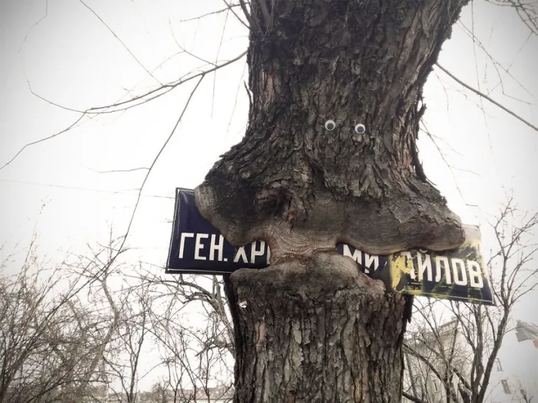 BUGARSKA JE PUNA RAZROKIH POGLEDA, A ZA SVE JE ZASLUŽAN JEDAN ČOVJEK: Pohvalio se na Instagramu i urnebesno je