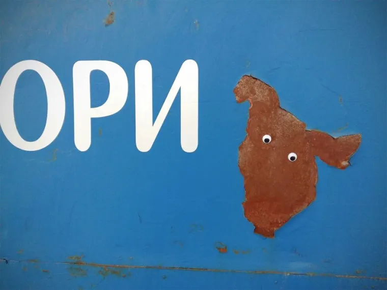 BUGARSKA JE PUNA RAZROKIH POGLEDA, A ZA SVE JE ZASLUŽAN JEDAN ČOVJEK: Pohvalio se na Instagramu i urnebesno je