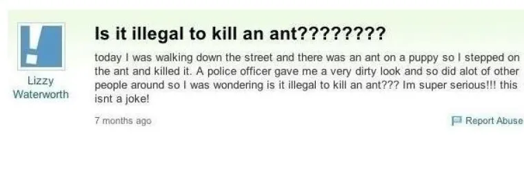 Dokaz da neki u glavi imaju samo jednu sivu ćeliju: za sve one koji kažu da ne postoje glupa pitanja, samo glupi odgovori