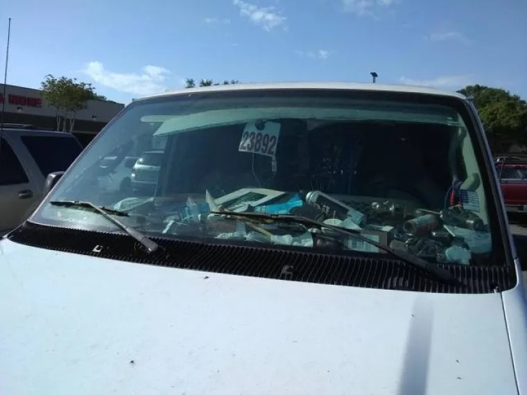 ZATRPALI LIMENE LJUBIMCE GOMILOM SMEĆA: Ovi prizori su čisti horor za sve ljubitelje automobila