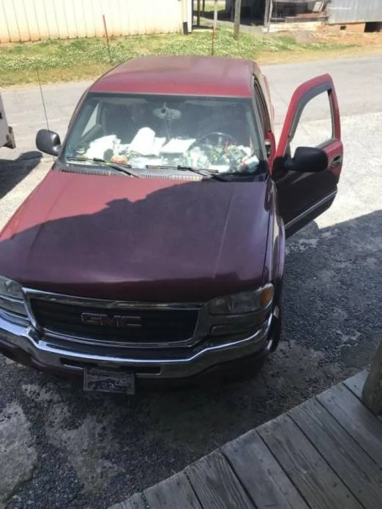 ZATRPALI LIMENE LJUBIMCE GOMILOM SMEĆA: Ovi prizori su čisti horor za sve ljubitelje automobila