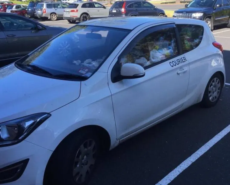 ZATRPALI LIMENE LJUBIMCE GOMILOM SMEĆA: Ovi prizori su čisti horor za sve ljubitelje automobila