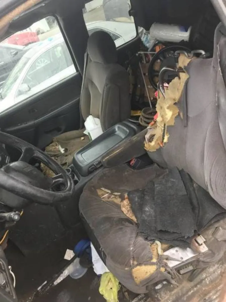 ZATRPALI LIMENE LJUBIMCE GOMILOM SMEĆA: Ovi prizori su čisti horor za sve ljubitelje automobila