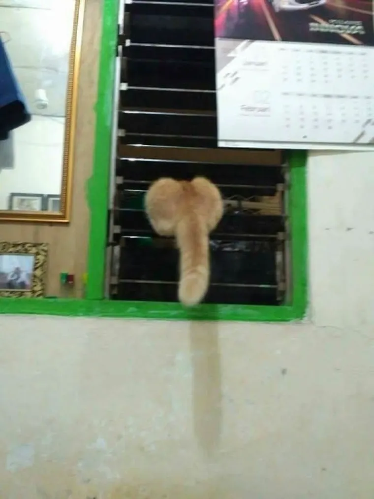 PENISI NAS ZAPRAVO OKRUŽUJU SA SVIH STRANA: Prizori koje bi Facebook zabranio dok kaže&scaron; keks