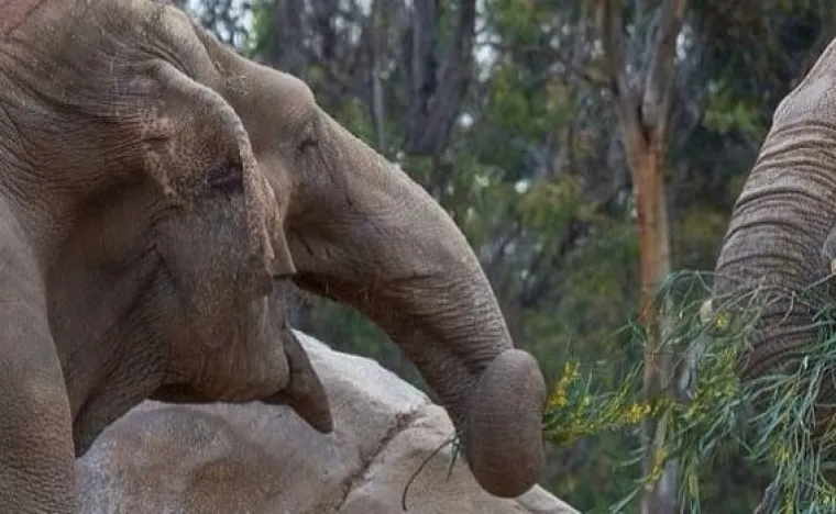 PENISI NAS ZAPRAVO OKRUŽUJU SA SVIH STRANA: Prizori koje bi Facebook zabranio dok kaže&scaron; keks