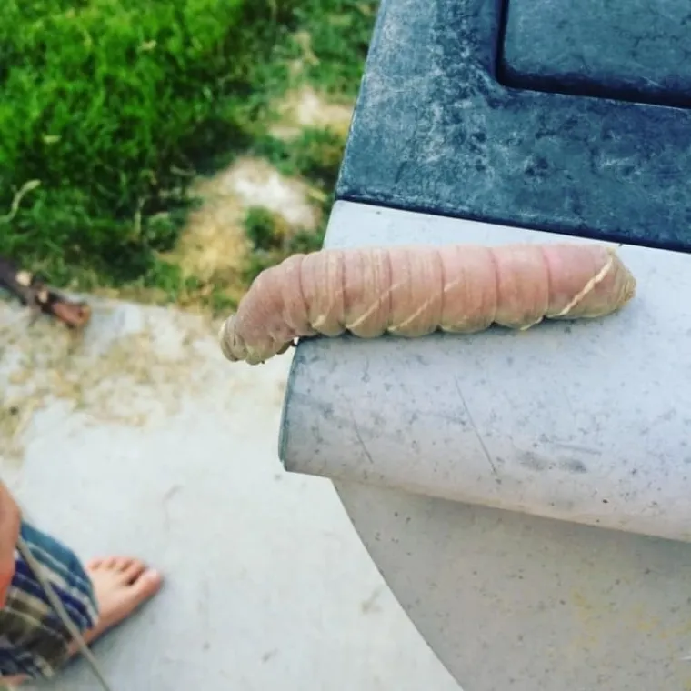 PENISI NAS ZAPRAVO OKRUŽUJU SA SVIH STRANA: Prizori koje bi Facebook zabranio dok kaže&scaron; keks