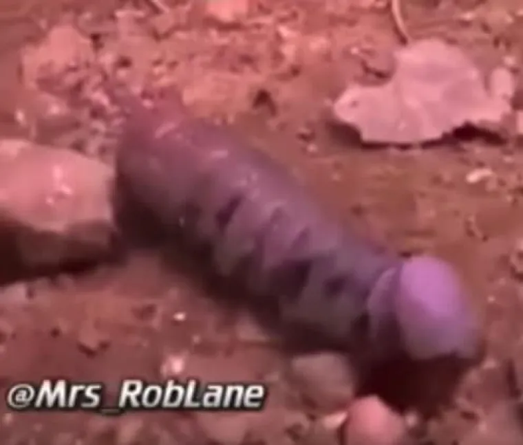 PENISI NAS ZAPRAVO OKRUŽUJU SA SVIH STRANA: Prizori koje bi Facebook zabranio dok kaže&scaron; keks