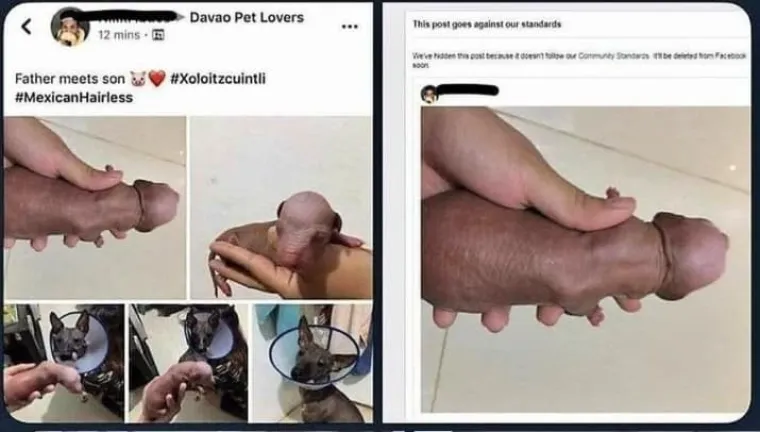 PENISI NAS ZAPRAVO OKRUŽUJU SA SVIH STRANA: Prizori koje bi Facebook zabranio dok kaže&scaron; keks