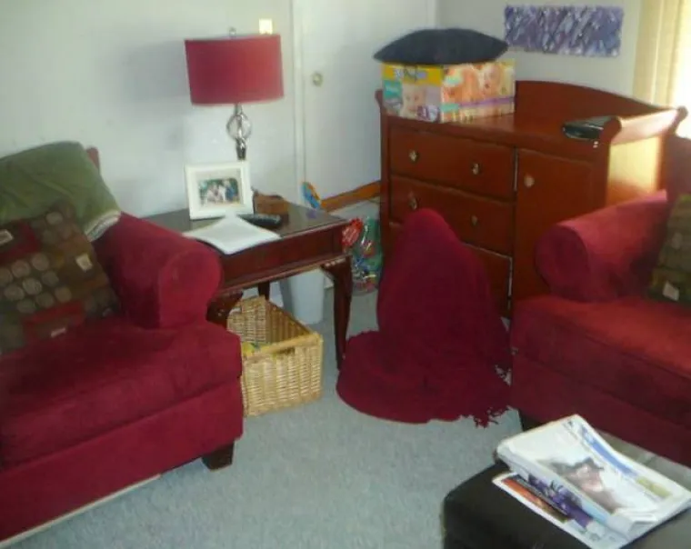 KLINCIMA UŽASNO IDE IGRANJE SKRIVAČA, ALI SU ZATO PRESLATKI: Pokušali se sakriti, ali baš ne razumiju igru