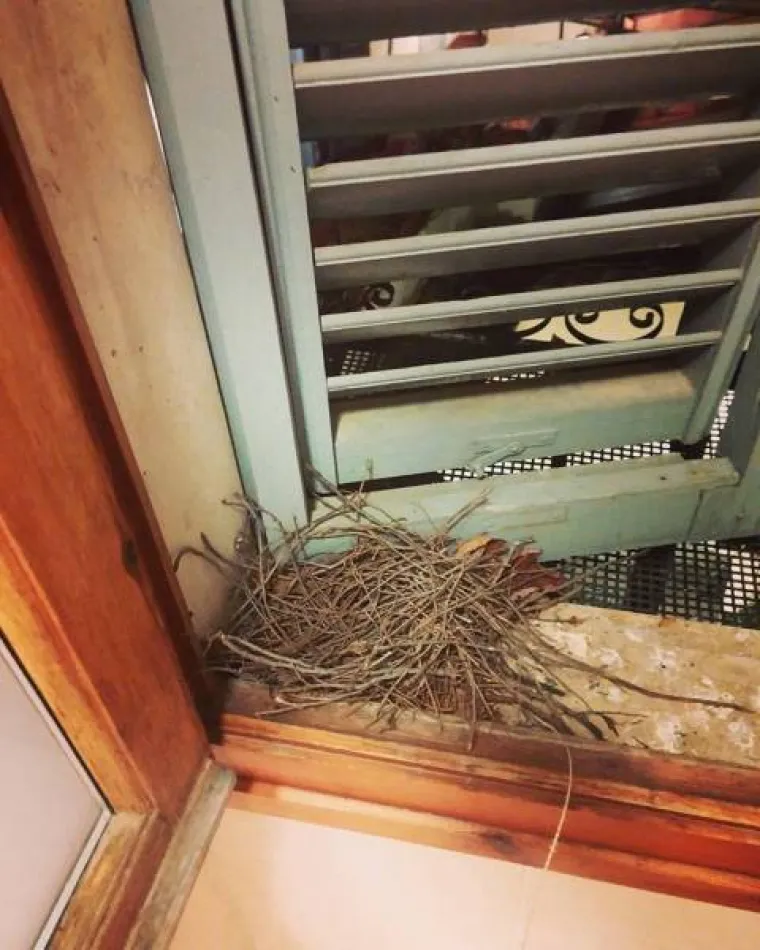 Postoje ljudi koji pokušavaju uštedjeti baš na svemu. Neki od njih pokušali su škrtariti na smještenu pa su se neugodno iznenadili kada su vidjeli svoju hotelsku sobu. Što sve može značiti 'koliko para toliko muzike' kada je riječ o smještaju, pogledajte u nastavku.