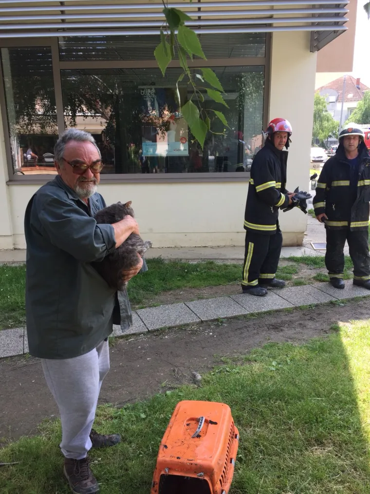 U subotu ujutro u Dugom Selu izbio je požar u stanu stambene zgrade, a uslijed čega je poginula jedna žena, potvrđeno je iz PU Zagrebačke.