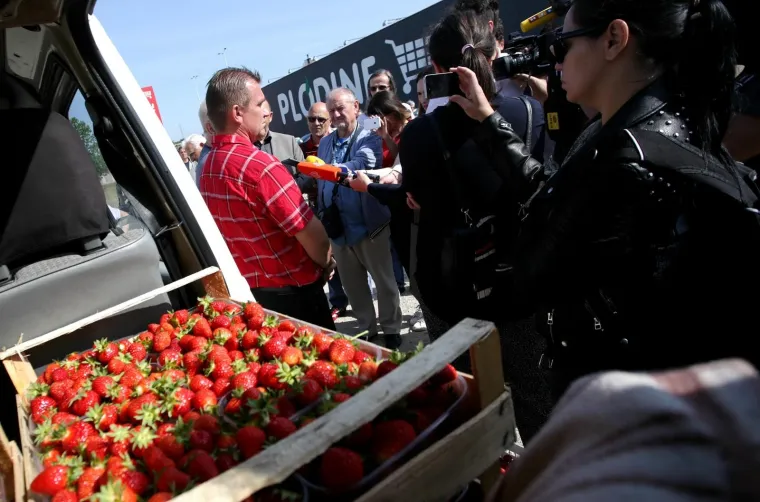 OGORČENI ZBOG JEFTINOG UVOZA: Domaći voćari besplatno dijelili jagode građanima