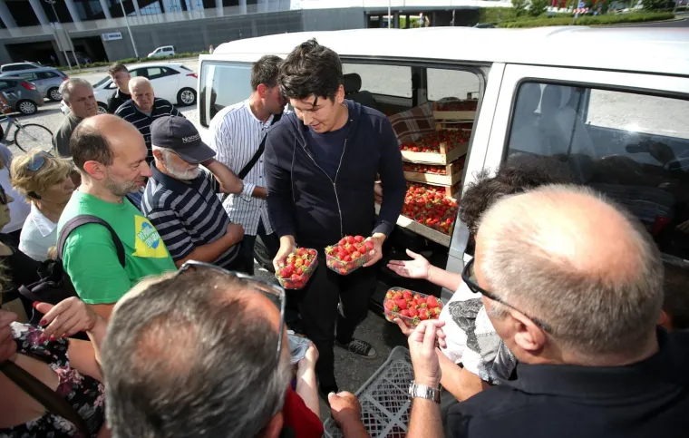 OGORČENI ZBOG JEFTINOG UVOZA: Domaći voćari besplatno dijelili jagode građanima