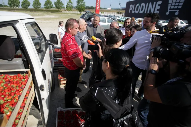 OGORČENI ZBOG JEFTINOG UVOZA: Domaći voćari besplatno dijelili jagode građanima
