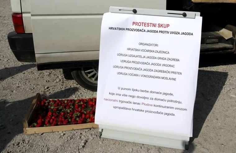 OGORČENI ZBOG JEFTINOG UVOZA: Domaći voćari besplatno dijelili jagode građanima