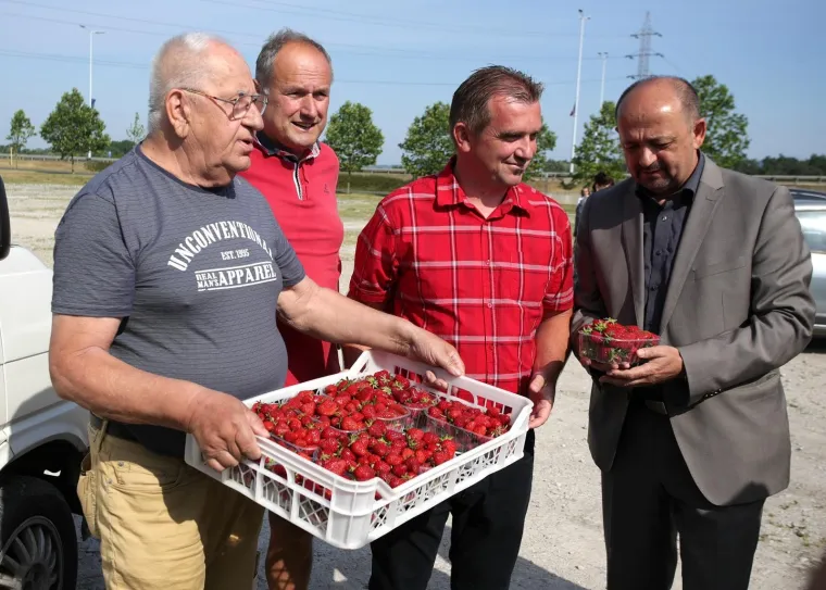 OGORČENI ZBOG JEFTINOG UVOZA: Domaći voćari besplatno dijelili jagode građanima