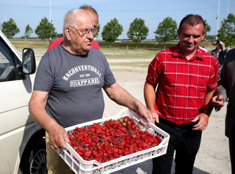 OGORČENI ZBOG JEFTINOG UVOZA: Domaći voćari besplatno dijelili jagode građanima