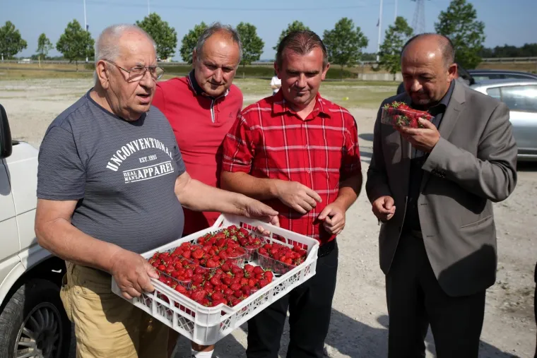 OGORČENI ZBOG JEFTINOG UVOZA: Domaći voćari besplatno dijelili jagode građanima