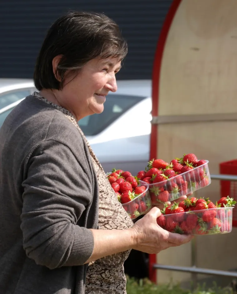 OGORČENI ZBOG JEFTINOG UVOZA: Domaći voćari besplatno dijelili jagode građanima