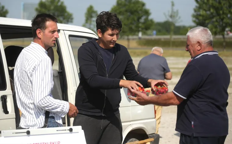OGORČENI ZBOG JEFTINOG UVOZA: Domaći voćari besplatno dijelili jagode građanima