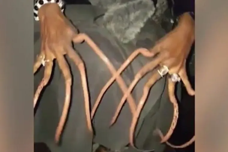 JE LI ZNANOST OTI&Scaron;LA PREDALEKO? Nokte pretvorili u bizarna djela koja će vas pratiti u noćnim morama