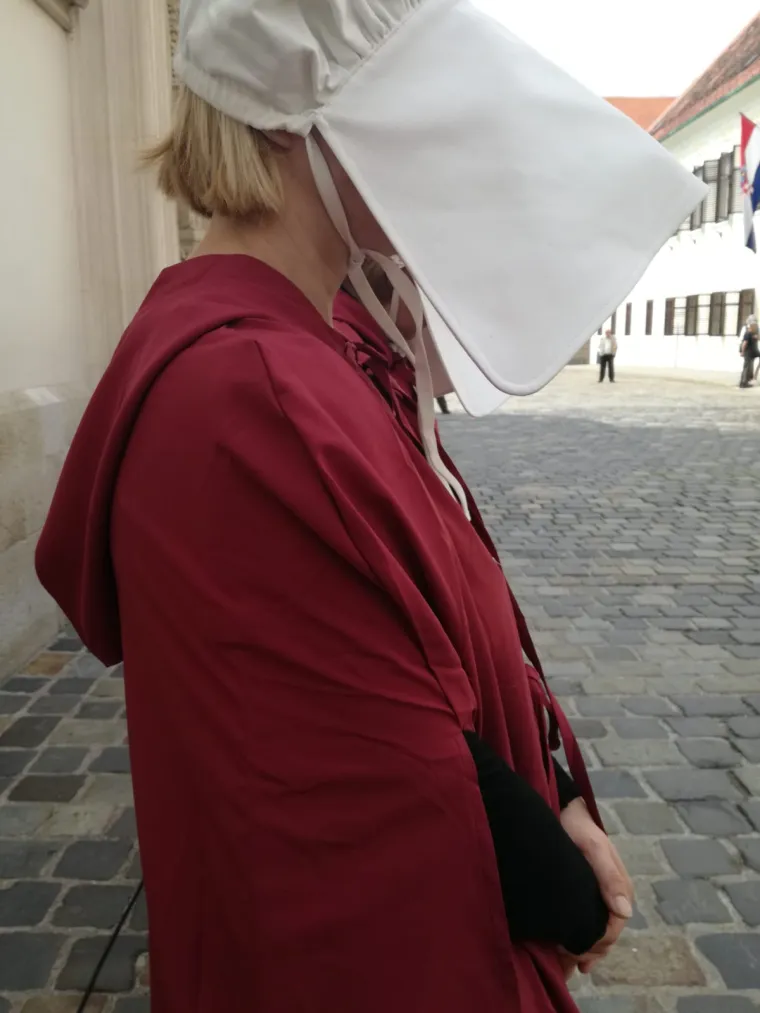 'Slu&scaron;kinje' pred Vladom: 'Tražimo hitnu implementaciju Istanbulske!'