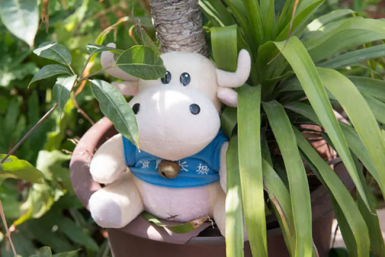 PRIZORI OD KOJIH ĆE VAM NASTATI KNEDLA U GRLU: Evo kako se igraju djeca čiji roditelji zarađuju 180 kuna mjesečno