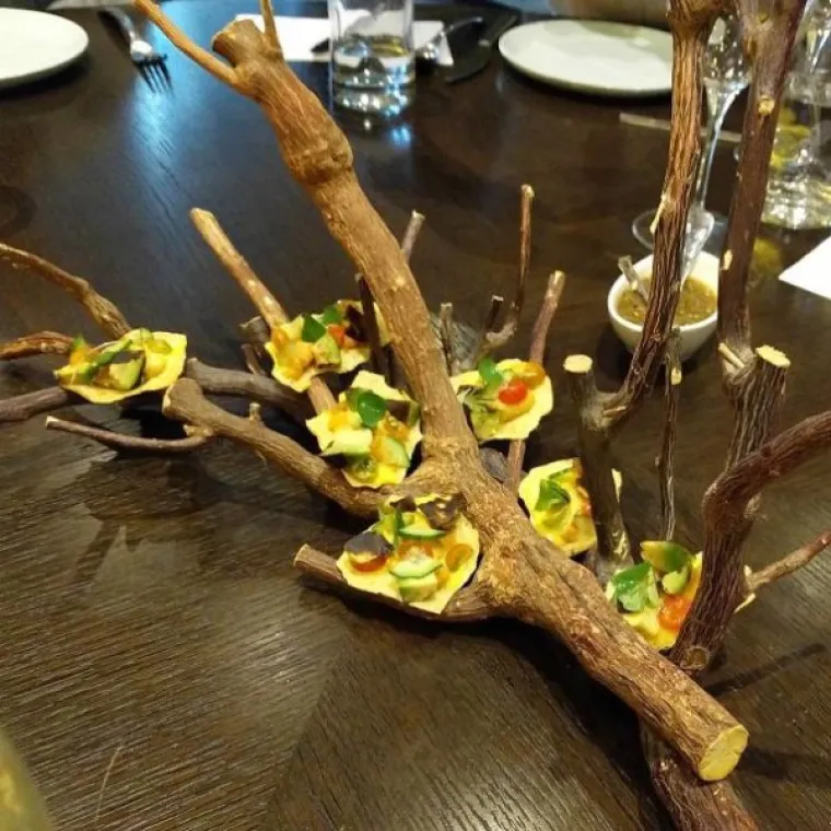 MODERNI RESTORANI MOGU POTPUNO UNI&Scaron;TITI APETIT: Umjesto kori&scaron;tenja tanjura, izmi&scaron;ljaju toplu vodu