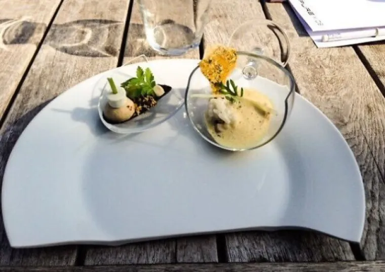 MODERNI RESTORANI MOGU POTPUNO UNI&Scaron;TITI APETIT: Umjesto kori&scaron;tenja tanjura, izmi&scaron;ljaju toplu vodu