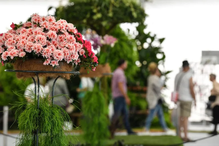53. međunarodna vrtna izložba Floraart otvorena na jezeru Bundek